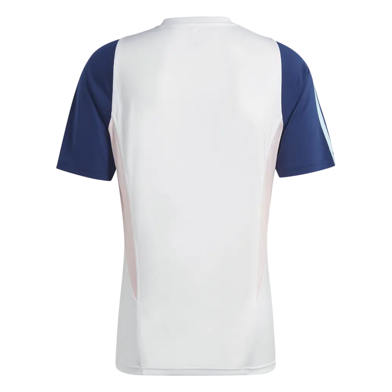 Ajax 23/24 Training Jersey - White and Blue