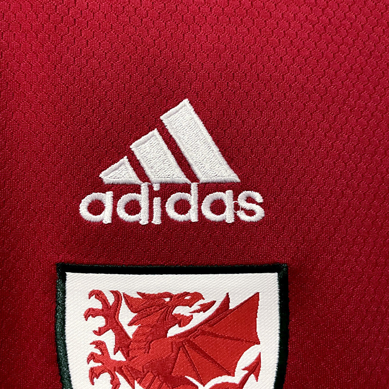 Camisola Seleção País de Gales I 2022 - Vermelho
