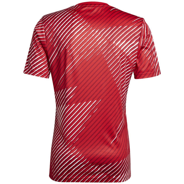 Japan 2022 National Team Pre-Game Shirt - Red